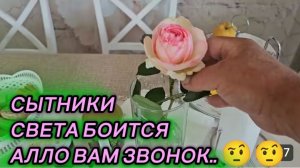 САМВЕЛ АДАМЯН, СЫТНИКИ, СВЕТА БОИТСЯ, АЛЛО ВАМ ЗВОНОК.. 🤨🤨
