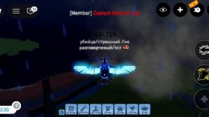 ТОРНАДО! 🌪️ В ИГРЕ СЕМЬЯ ПТИЦ (роблокс)