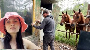Соседи не верили, что я успею! Показываю новый домик в лесу. Вся правда про детство