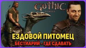 Ездовой питомец: как получить. Бестиарий Хориниса где сдавать? Gothic 1 Remake