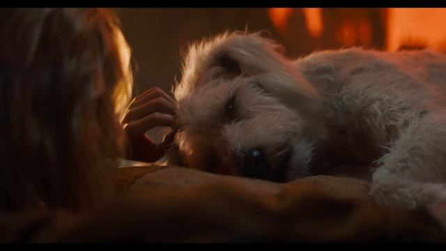 Сцена встречи Супергёрл и Лобо. SUPERGIRL (2026) Кинофрагмент 4K
