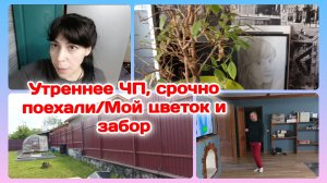 Утреннее ЧП,срочно поехали/Цветок и мой забор  Часть 1