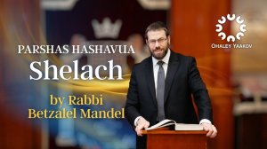 A short thought Shelach