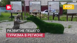 Развитие пешего туризма в регионе. Утро с Губернией. 09/06/2026. GuberniaTV