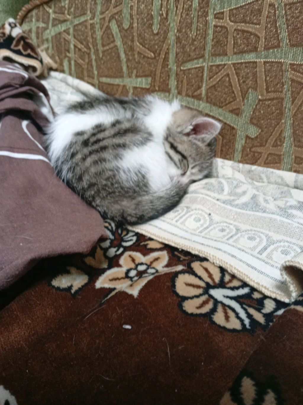 ой смотреть онлайн