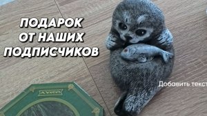 1159 Жизнь на Кубани/Сварила компот/Переехали с Урала на юг