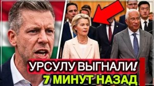ВОТ И ВСЁ  Péter Magyar ВЫГОНЯЕТ УРСУЛУ ИЗ ВЕНГЕРСКОЙ ПОЛИТИКИ — БРЮССЕЛЬ В ПАНИКЕ