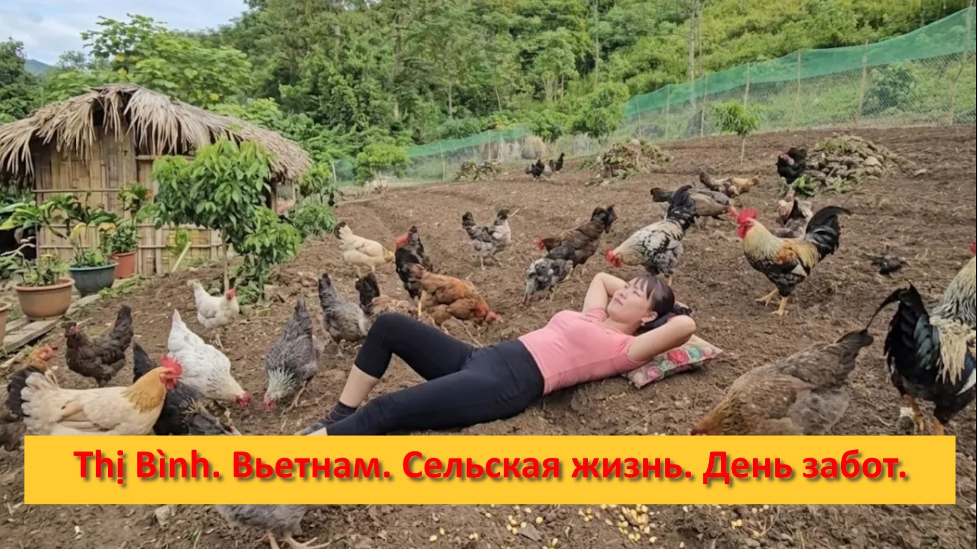 Thị Bình. Вьетнам. Сельская жизнь. День забот.