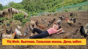 Thị Bình. Вьетнам. Сельская жизнь. День забот.