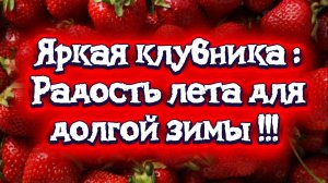 Яркая клубника: радость лета для долгой зимы!!!