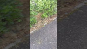 1000013464.mp4