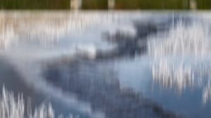 9. Effects of Climate Change: Crash Course Biology