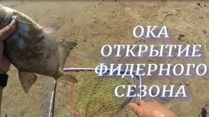 Открытие фидерного сезона.