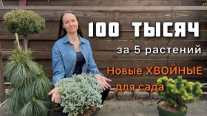 Новое видео - новые растения! Обзор покупок ХВОЙНЫХ для сада