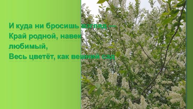 Виртуальная экскурсия «Путешествие по родному краю»
