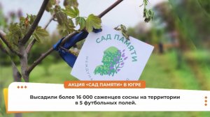 Итоги акции «Сад памяти» в Югре