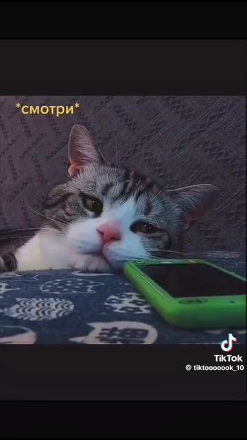 09-06-2026 смотреть онлайн