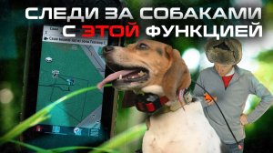 ОПОВЕЩЕНИЯ О ПОЗИЦИИ НА GARMIN ALPHA 300 С ОШЕЙНИКОМ | УВЕДОМЛЕНИЯ О ВЫХОДЕ ЗА ТЕРРИТОРИЮ #aatown