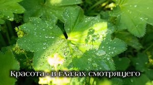 Открываем сезон...🏕️🍗👌