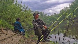 ЗАЛЕЗЛИ В САМЫЕ ДЕБРИ! КЛЮЁТ ВСЁ СПОДРЯД
