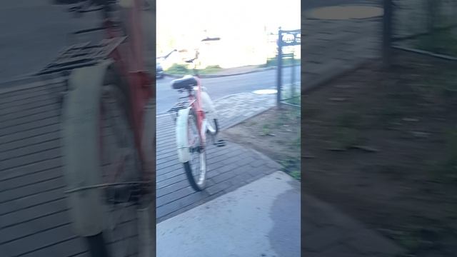 Летнее утро.