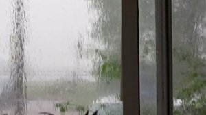 09-06-2026 Питер онлайн⛈️⛈️⛈️