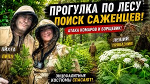 ЛЕШИЙ ЗАПУТАЛ НАС В ЛЕСУ! 😱 Комары атакуют, борщевик вокруг, а мы ищем саженцы