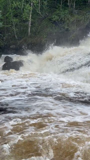 История одного дня - вода, всюду вода..