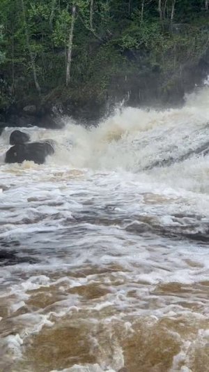 История одного дня - вода, всюду вода..