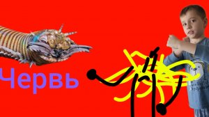 червь 1серия