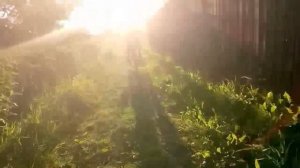покатушка до школы