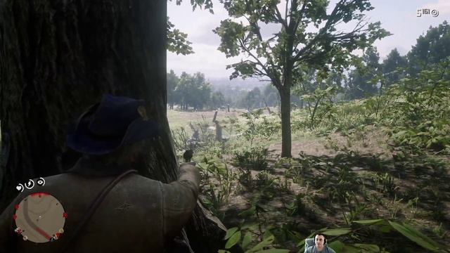 Red Dead Redemption 2 нападение #reddeadredemption2 #rdr2