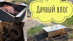 ДАЧНЫЙ ВЛОГ | НА ДАЧЕ ЗМЕЯ🤬 КОПТИМ ЛЕЩА🐟 ДАЧНЫЕ ДЕЛА | САДИМ ГРЯДКИ