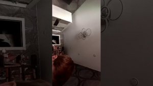стрим палю лицо