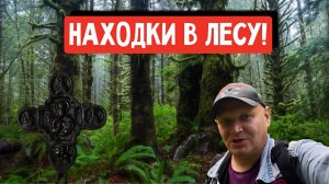 НАХОДКИ В ЛЕСУ!