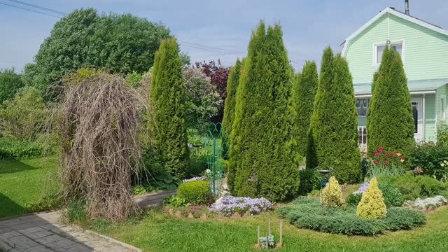Обзор цветов и пруда с водопадом!🌺 Петунии.Подкормка крупнолистной гортензии🌺Ленобласть 07.06.26г.
