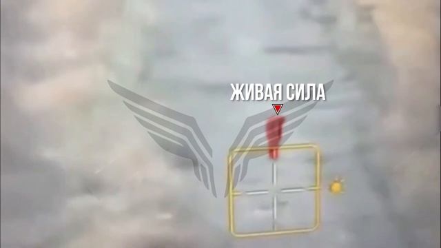 🔴Хохол обыкновенный, одна штука.🙂🔴 смотреть онлайн