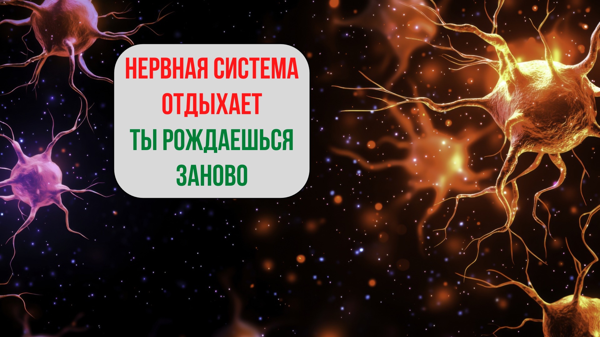 Матрица + Спокойные Частоты для ЦНС | Покой Нервной Системы и Восстановление