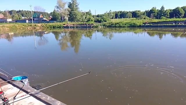 1000095283.mp4