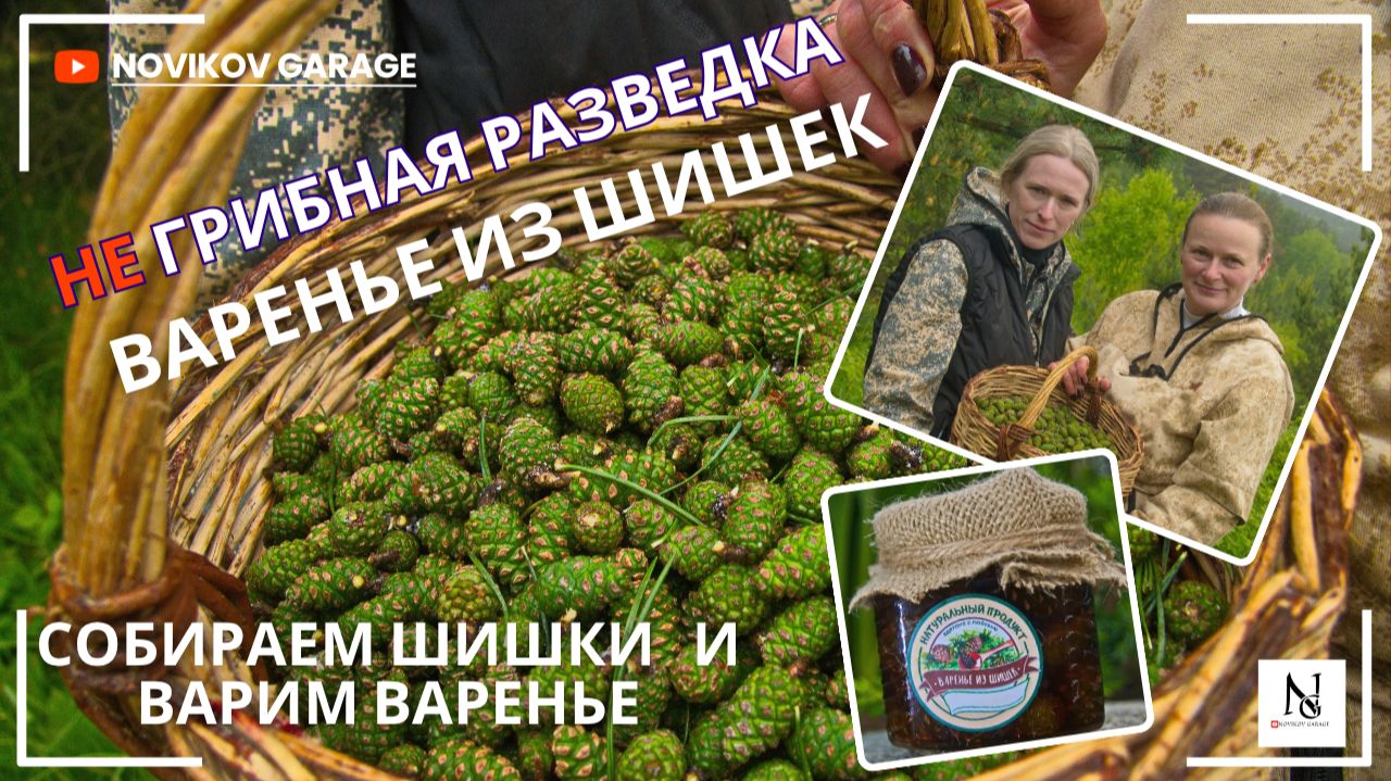 Не грибная разведка 30 мая 2026. Варенье из сосновых шишек. смотреть онлайн
