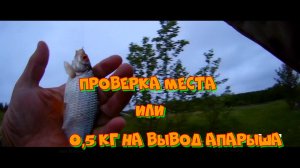10.06.2026г. рыбалка любителя