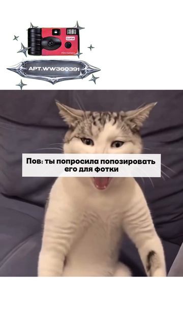 Плёночный фотоаппарат на 36 кадров (Артикул WB: #WW360391)💕