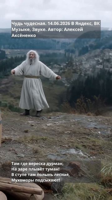 Чудь чудесная 2