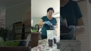 Никто мне не платит 🤷♀️ Распикировала 🍅