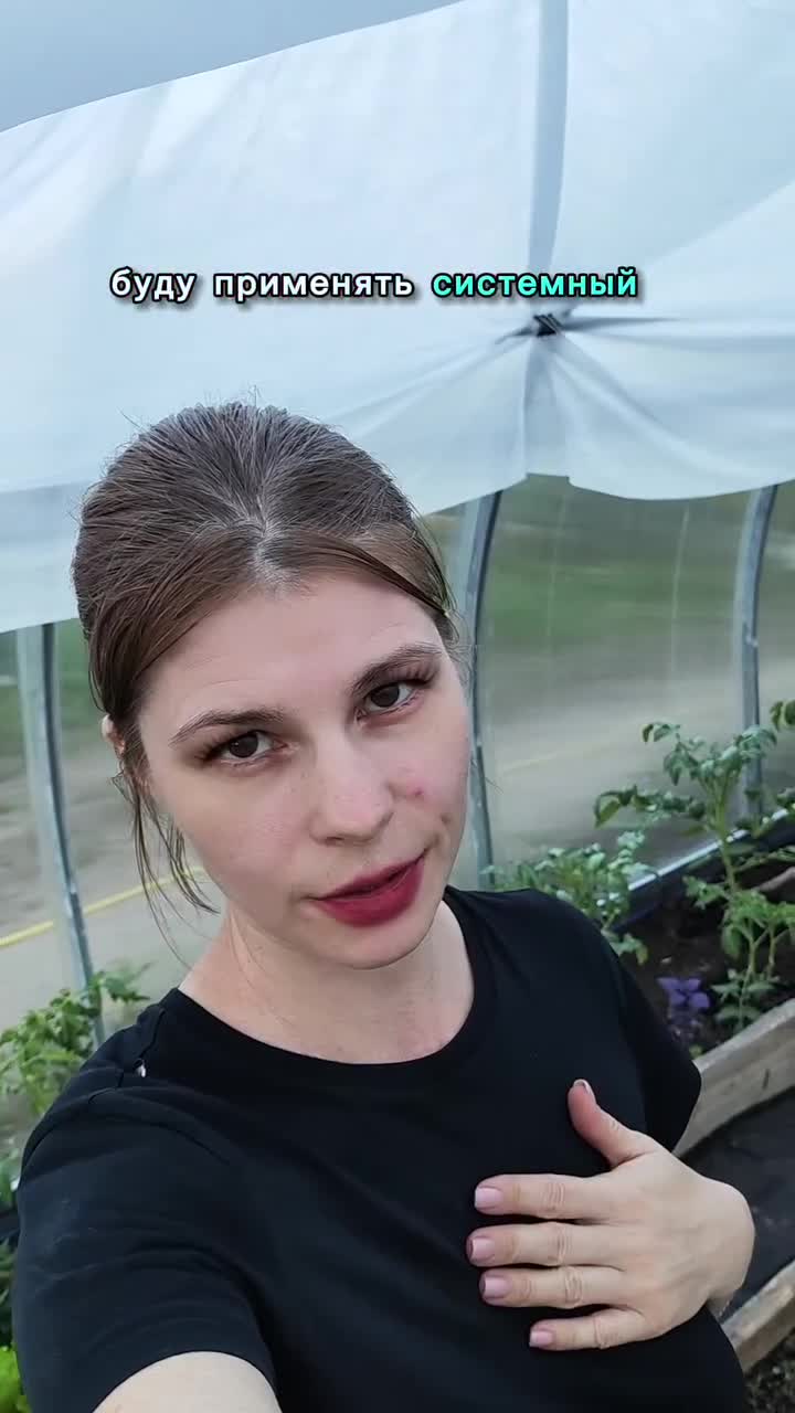 Системный подход. Даже в огороде 🍅