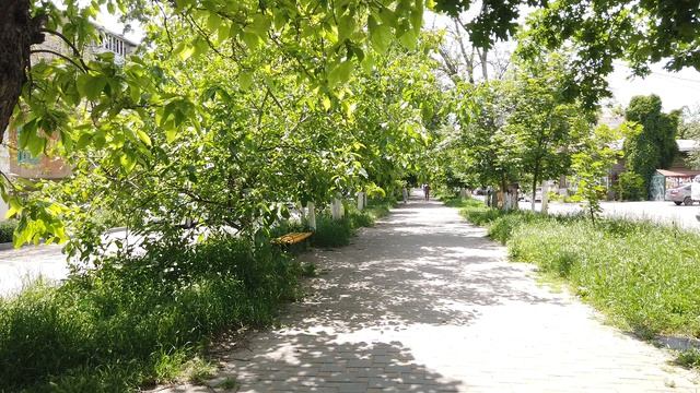 Новочеркасск49