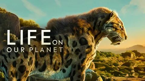 Жизнь на нашей планете (2023) - 8 серия / Life on Our Planet