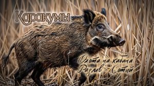 Охота на кабана. Туркмения, Каракумы, разлив - Сотый. ИИ.