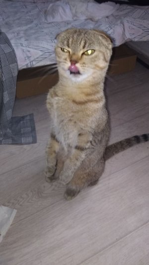 Малаца тот 😍какой по толще😂