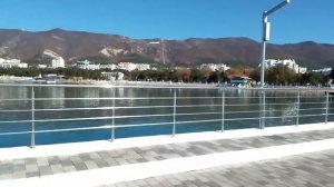 VID_20231031_120111.mp4